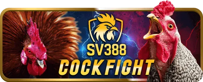 Hướng dẫn chơi slot cho người mới bắt đầu tại tip88 casino